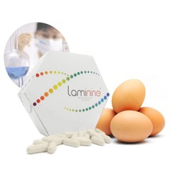 Laminine 30 capsules